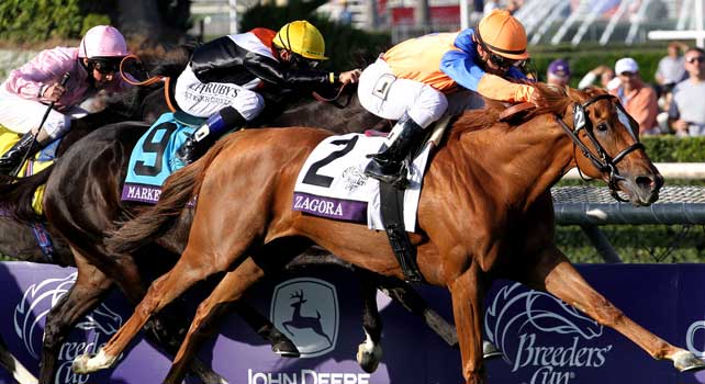 Zagora, ridden by Javier Castellano, wins the Breeders' Cup Filly & Mare Turf on Ladies' Day for the Breeders' Cup at Santa Anita Park in Arcadia, Caifornia on November 2, 2012.